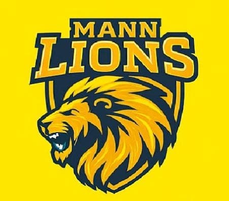 MANN LIONS