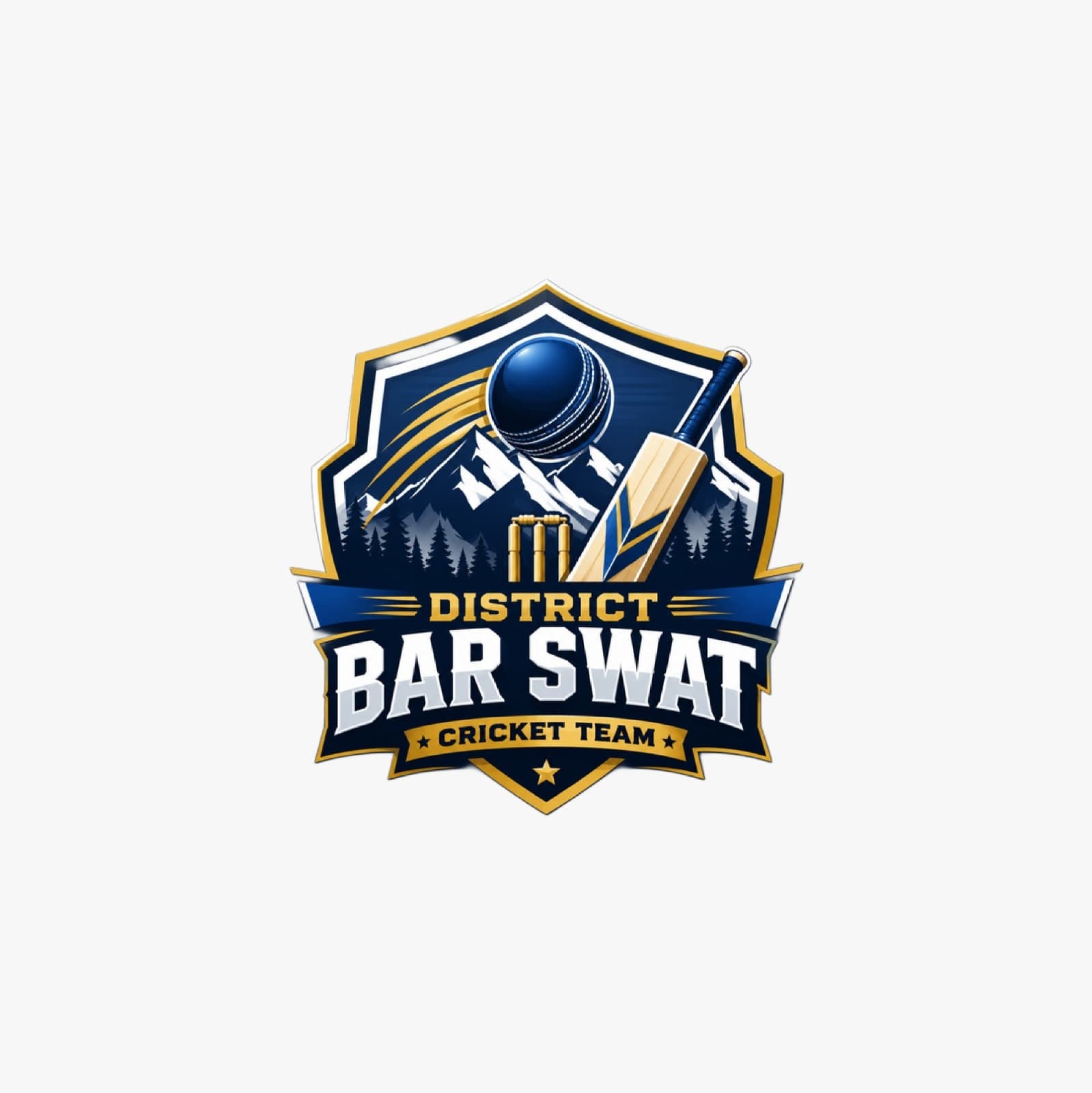 District Bar swat team logo