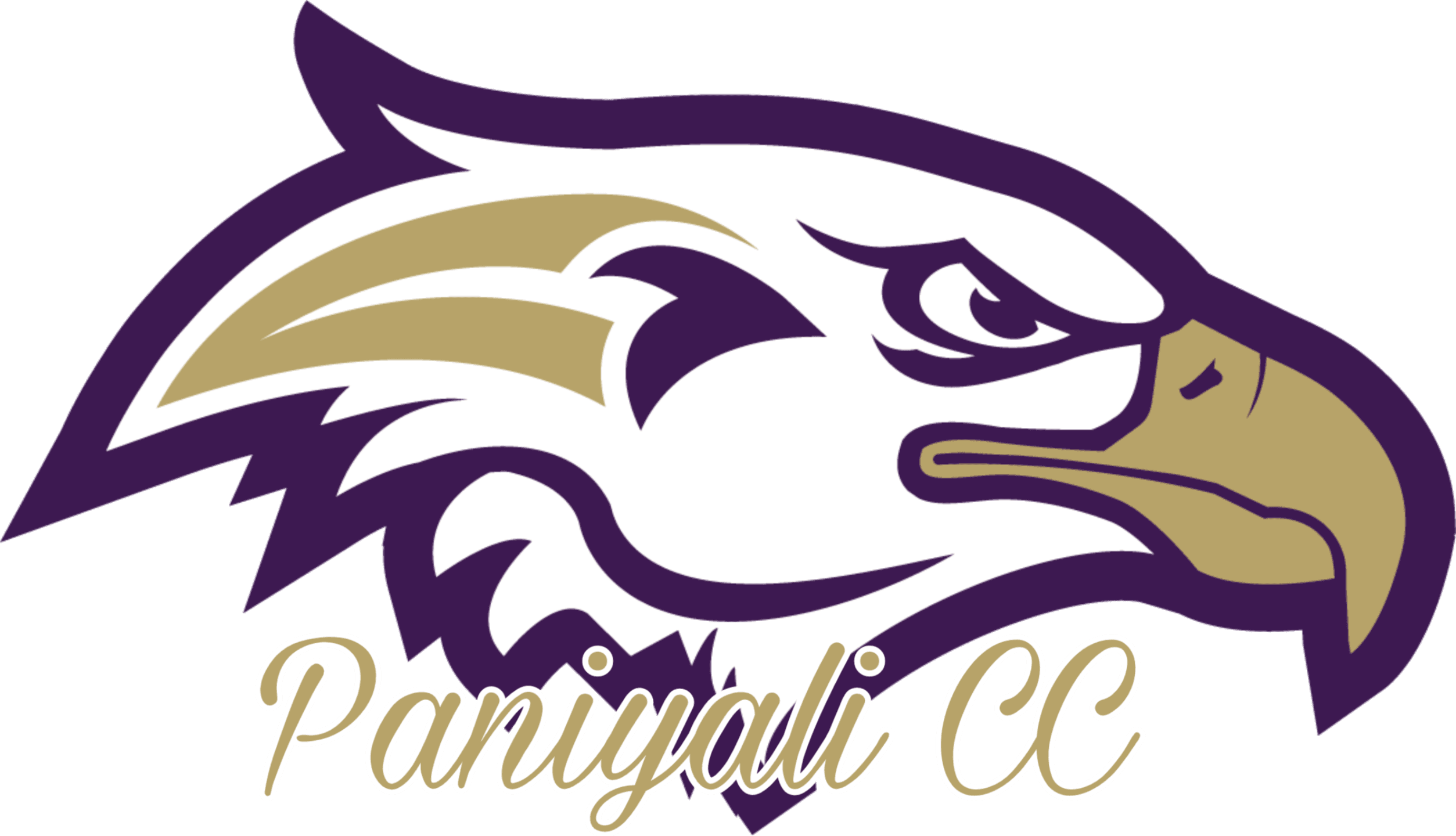 Paniyali CC