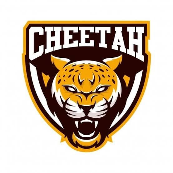 L M Cheetahs team logo