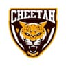 L M Cheetahs