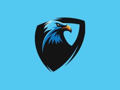 Falcon CC team logo