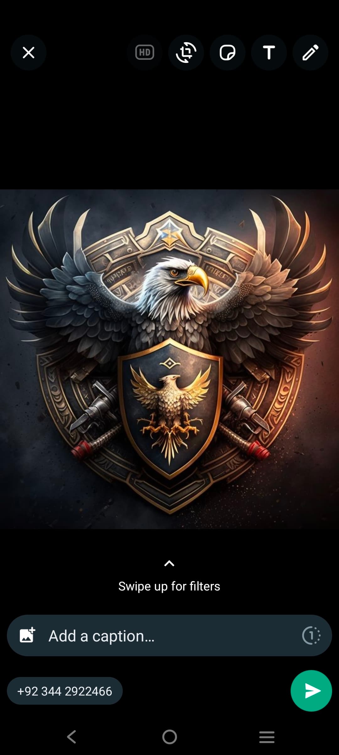 APL JANBAZ team logo