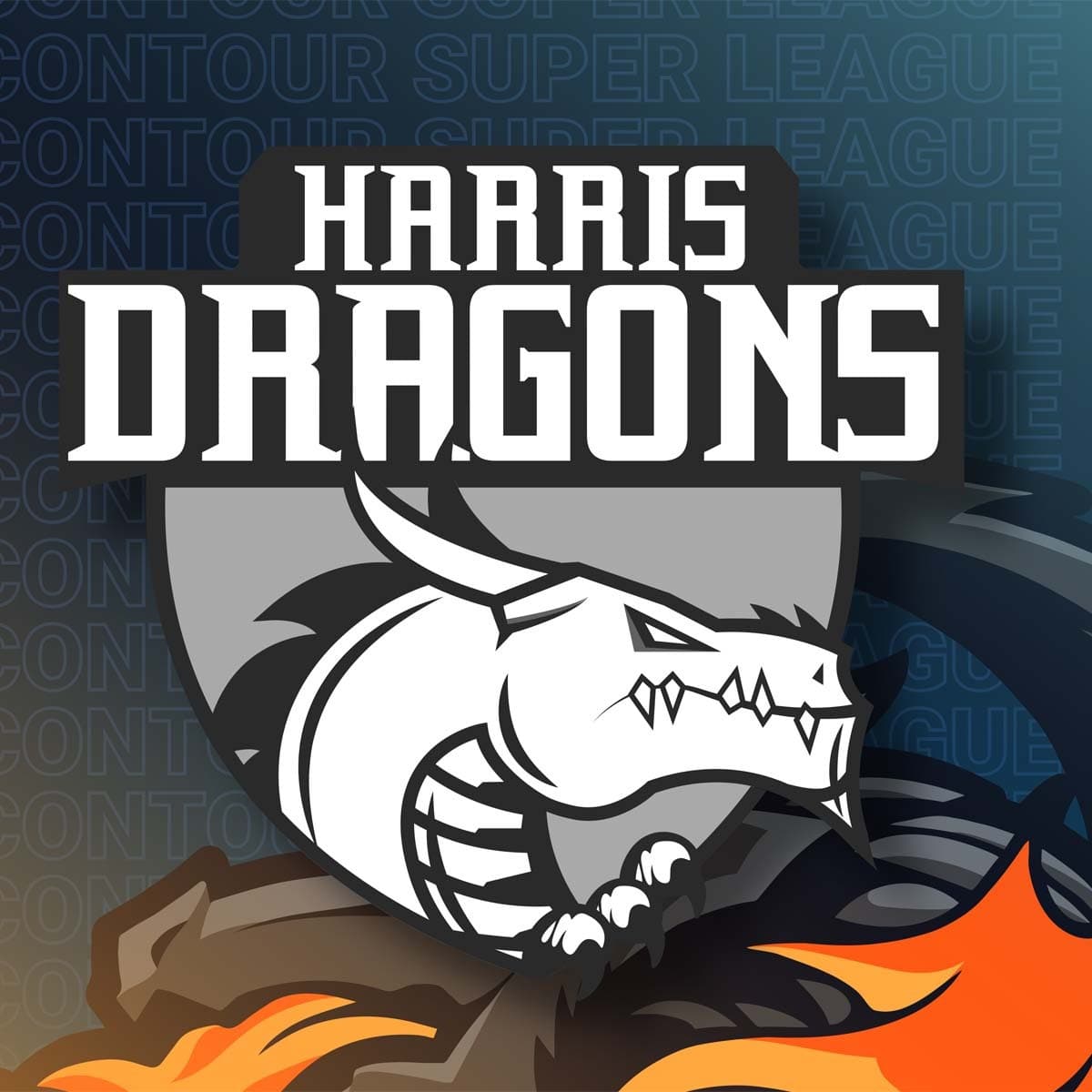 Harris Dragons team logo
