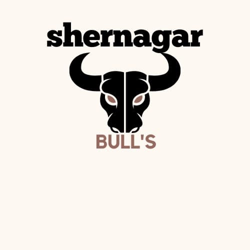 Shernagar Bull's