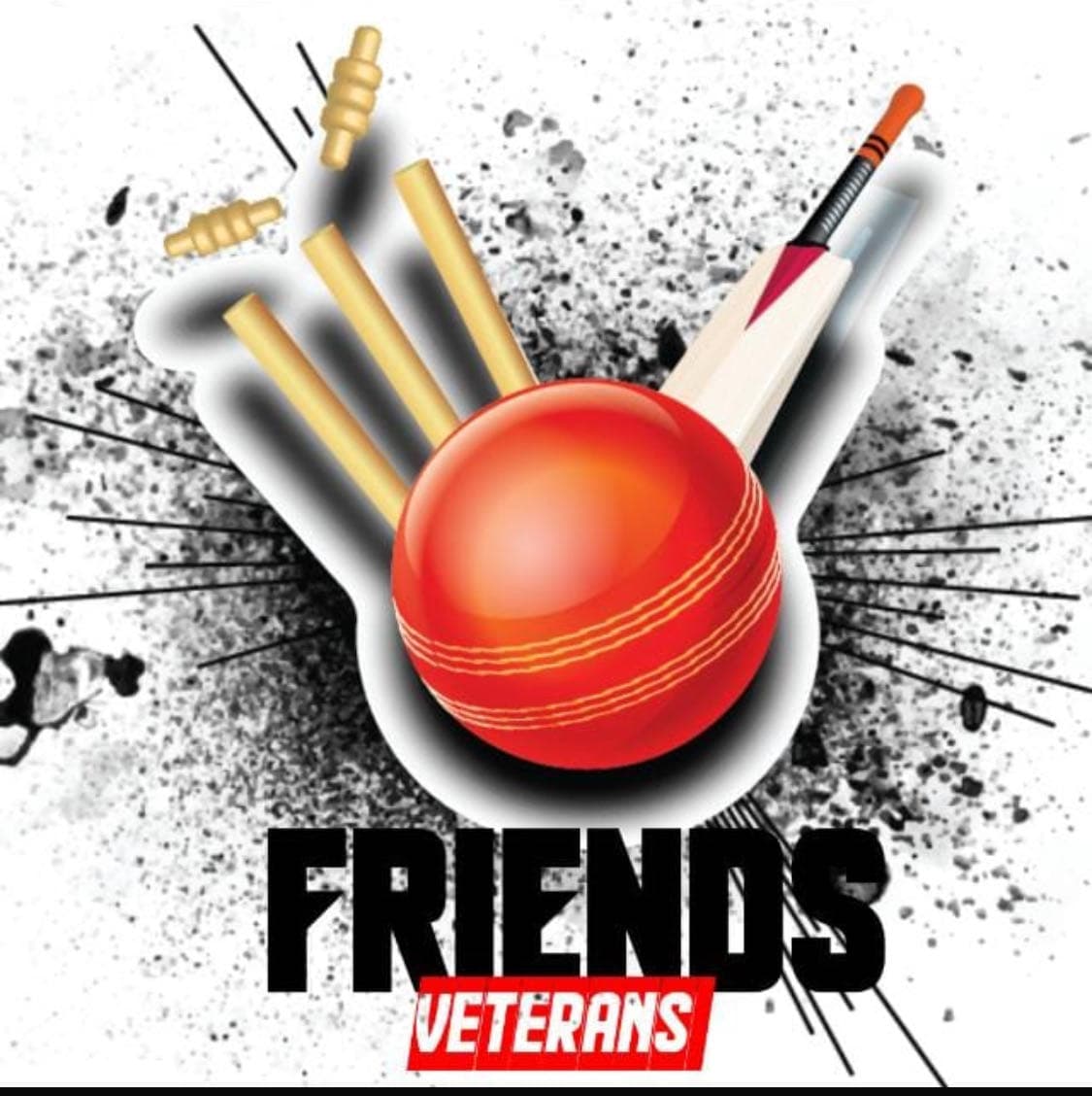 Friends Veterans team logo