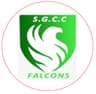 SG Falcon