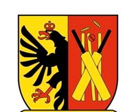Geneve Team team logo