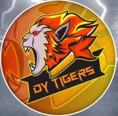 DY Tigers