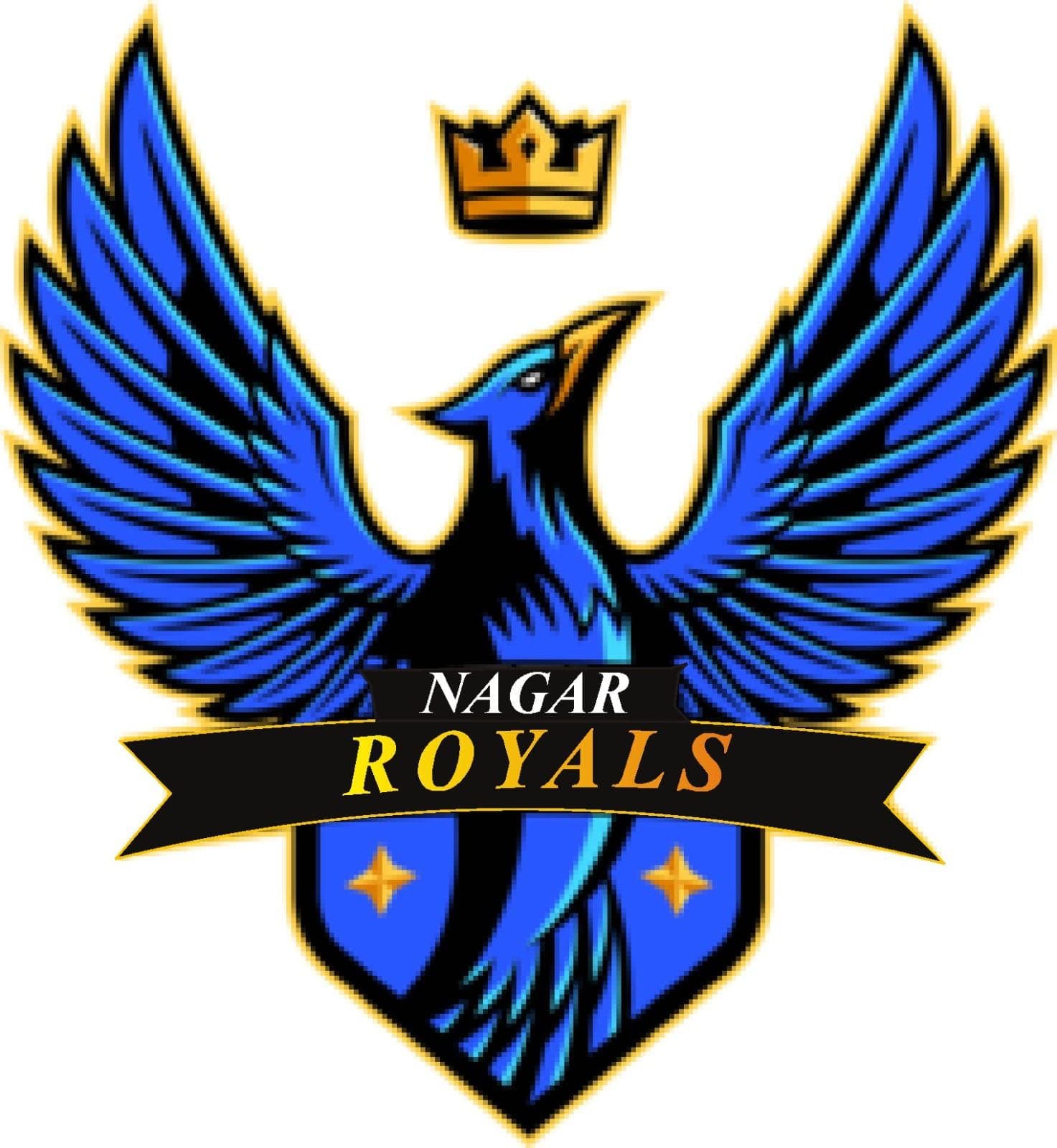 Nagar Royals team logo