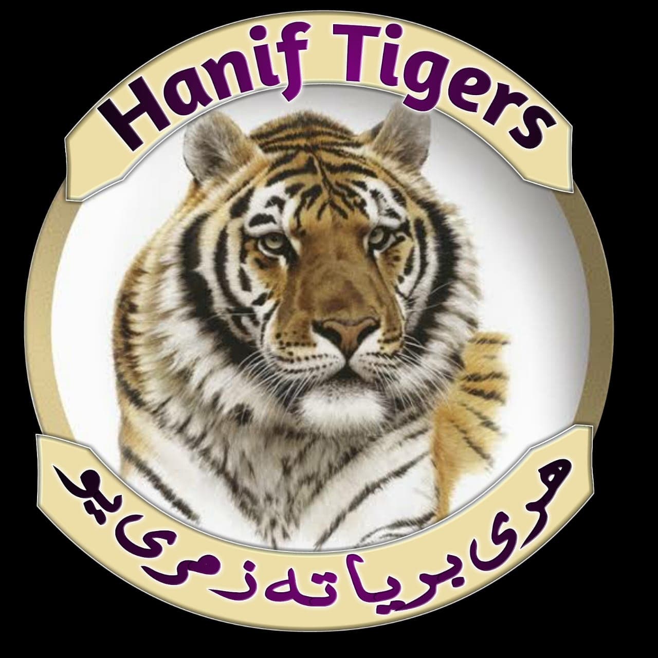 حنیف ٹائیگرز