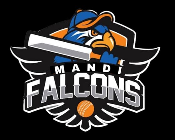 Mandi Falcon's team logo