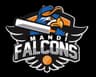 Mandi Falcon's