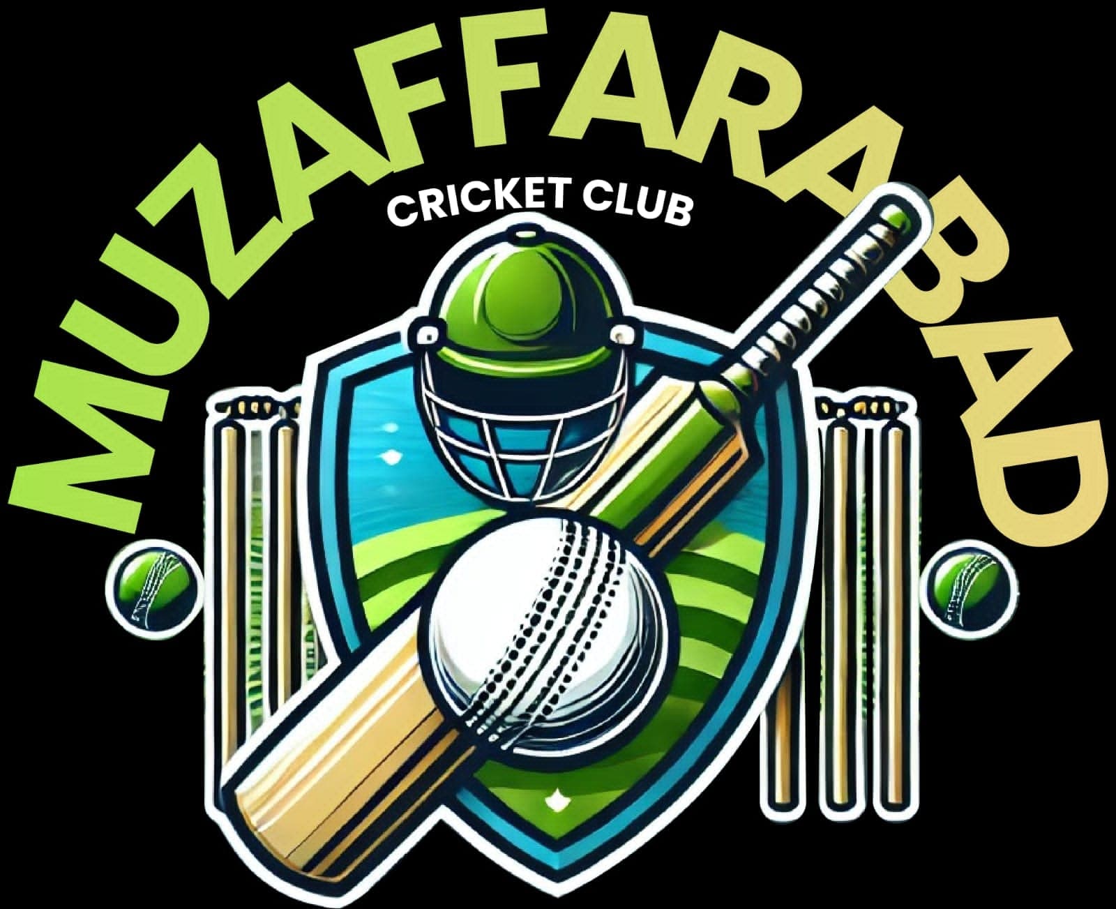 Muzaffaraabad team logo