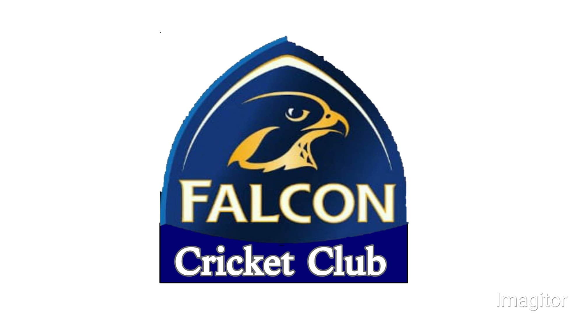 Falcon Cricket Club Multan team logo