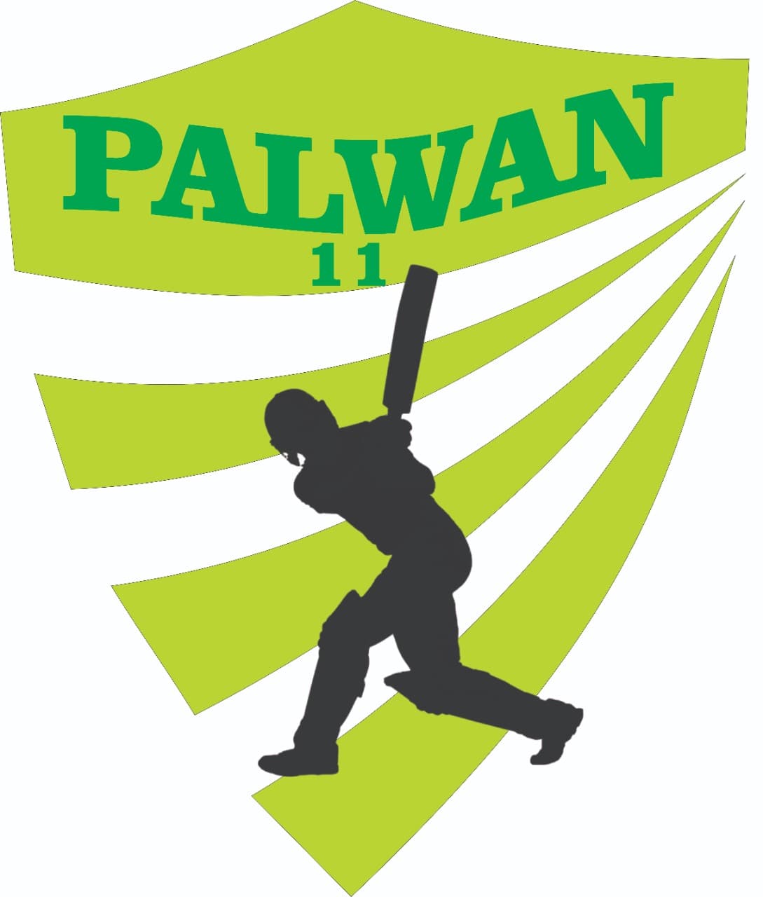 PAHLWAN ELEVEN SIALKOT team logo