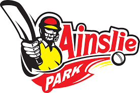 Shahpur Jacobabad team logo