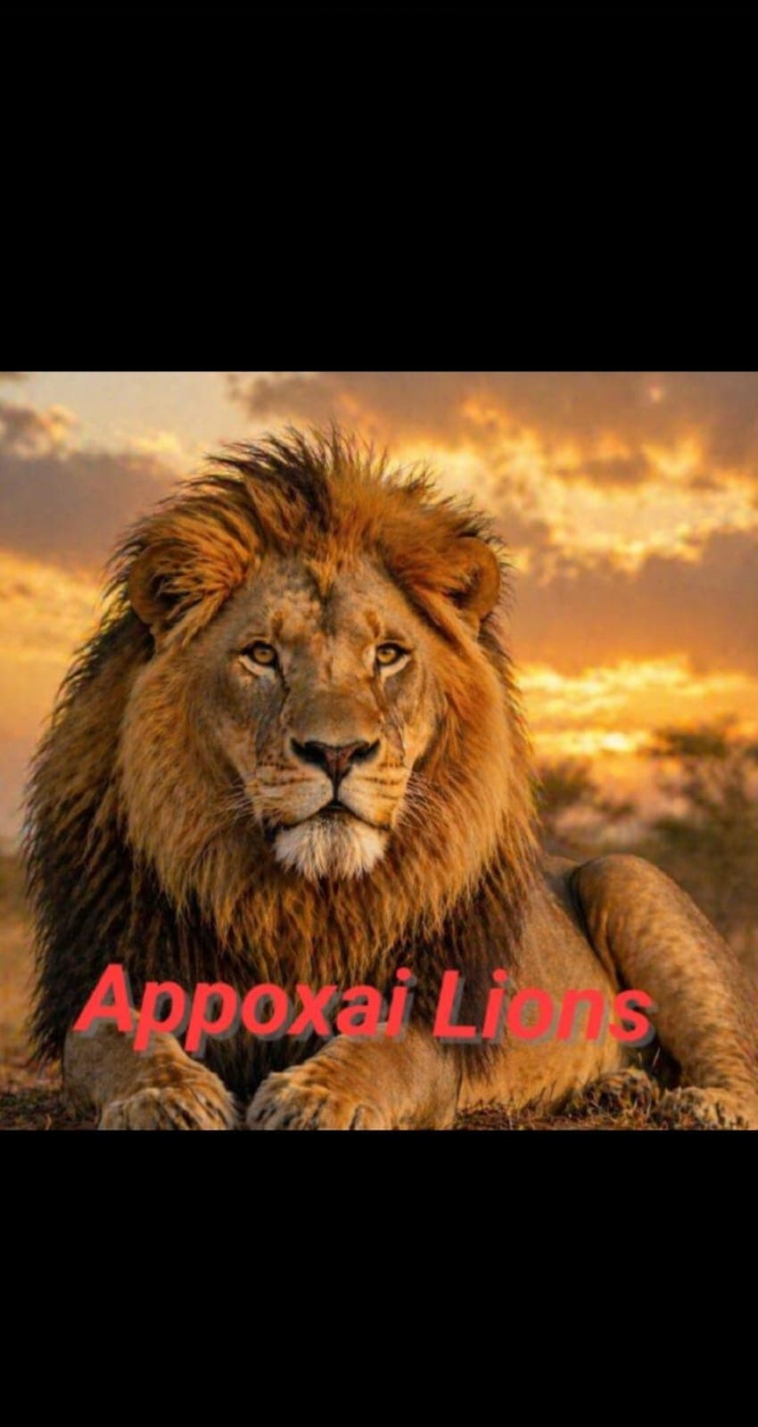 Appozai  line