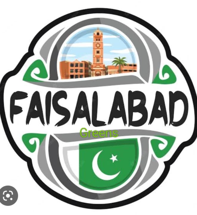 FAISALABAD GREENS U-19 team logo