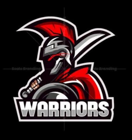 FSD WARRIOR