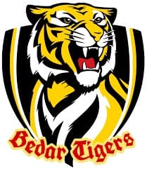 Bedar Tigers team logo