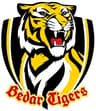 Bedar Tigers
