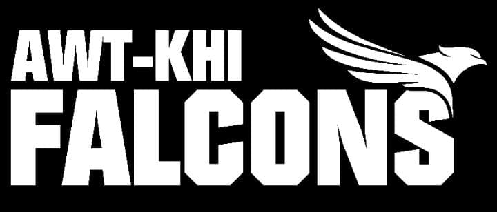 Falcons team logo