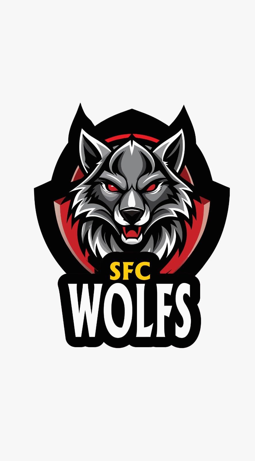 Moazzam team logo
