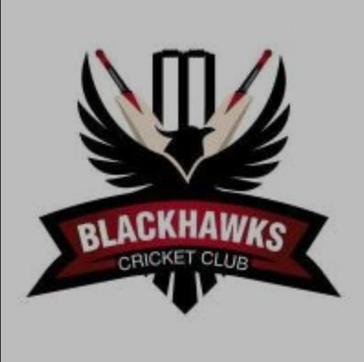 Black Hawks team logo