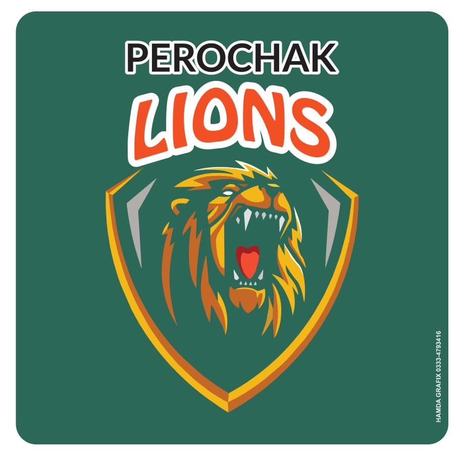 P.LIONS team logo