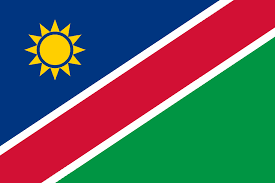 NAMIBIA team logo