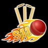 Shaid 11