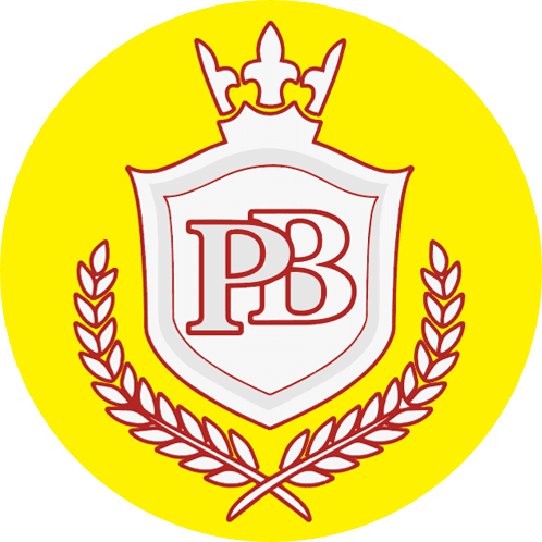 Pindi Boys team logo