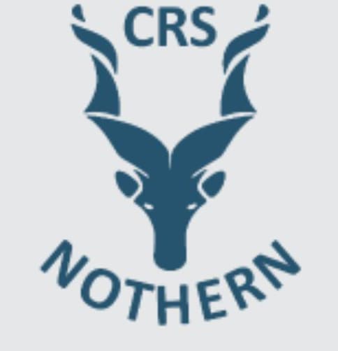 CRICKET RISING STARS NORTHERN team logo