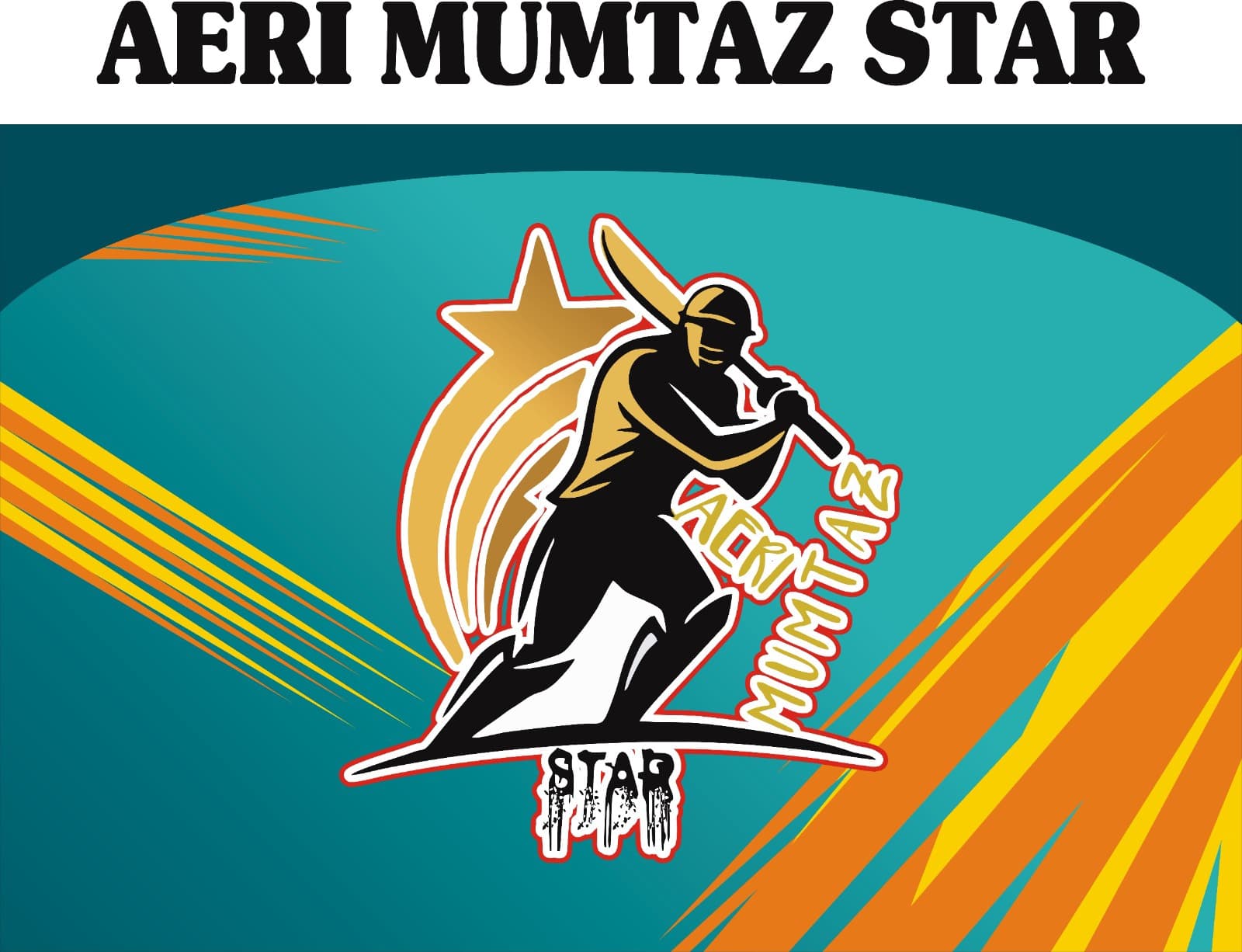 Mumtaz Airi Stars team logo