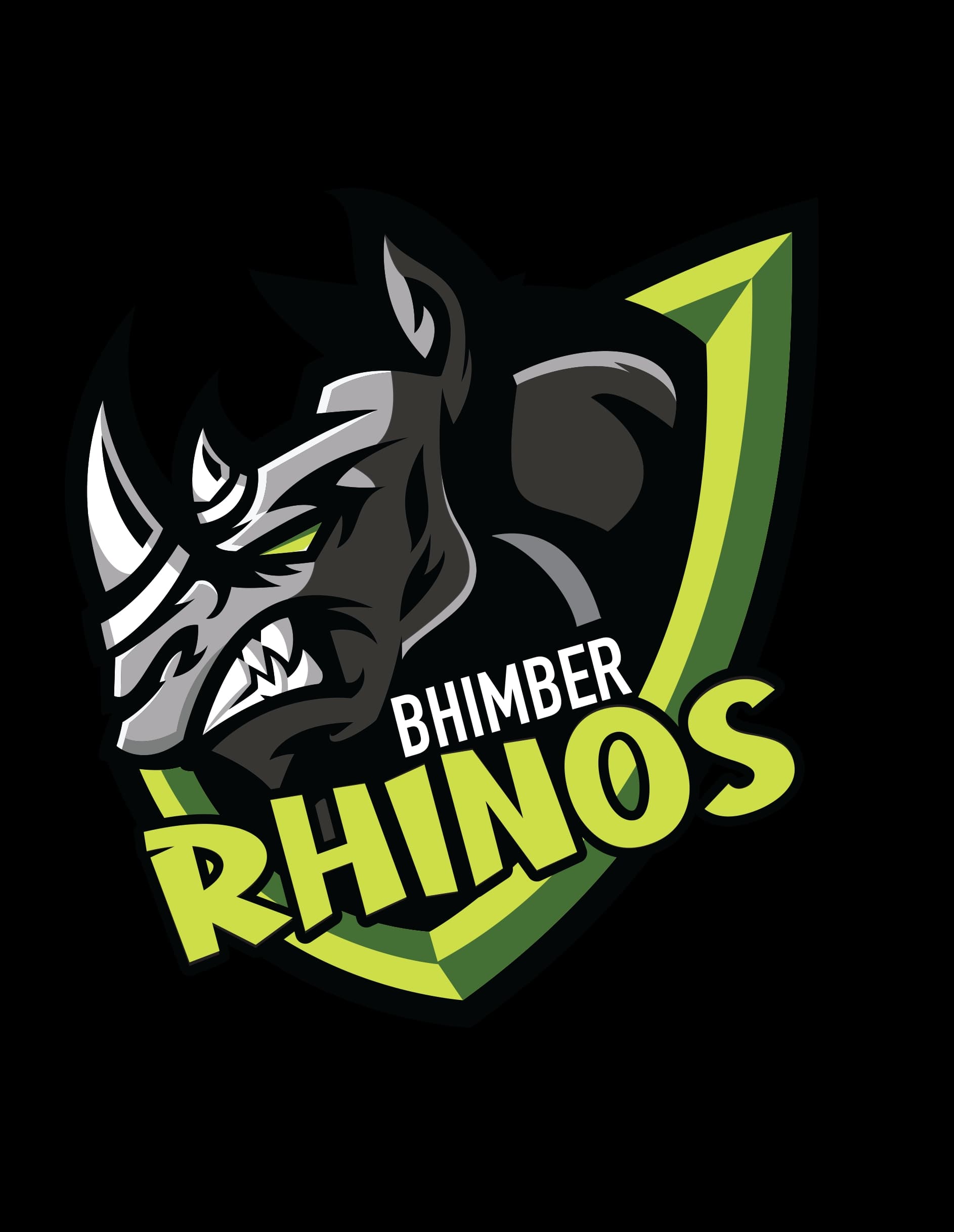 Bhimber Rhinos team logo