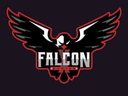 FALCONS