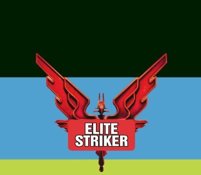 Elite Striker team logo