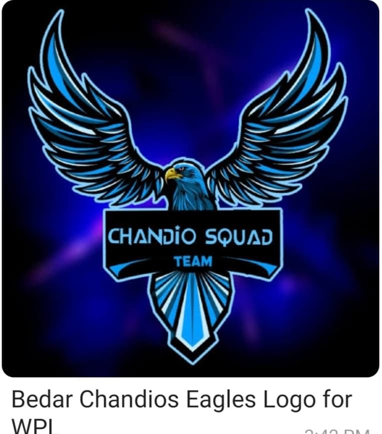 Bedar Chandios Eagles