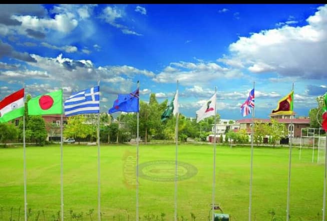 Paklions International Cricket Academy