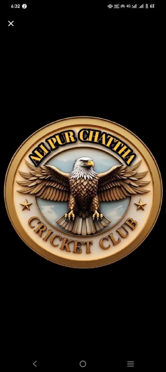 Ali Pur C C team logo