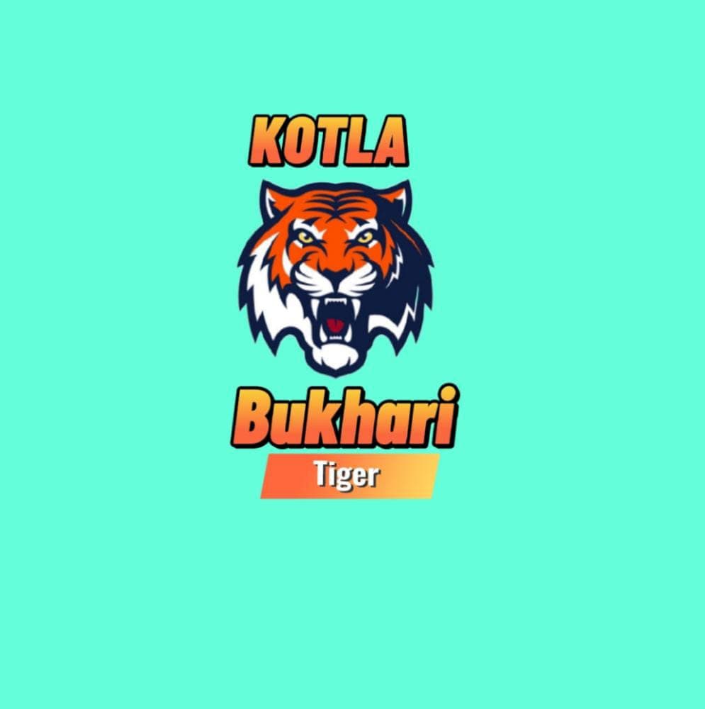 Kotla Bhukhari Tiger team logo