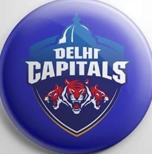 DELHI CAPITAL team logo