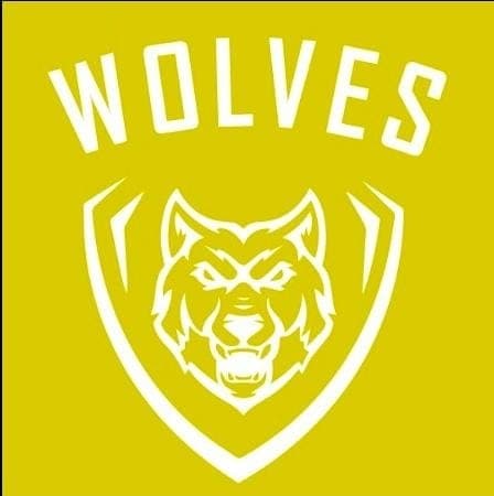 Atco Wolves team logo