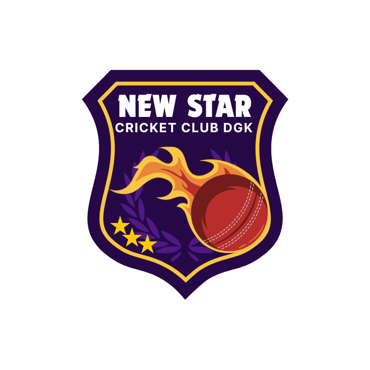 NEW STAR team logo
