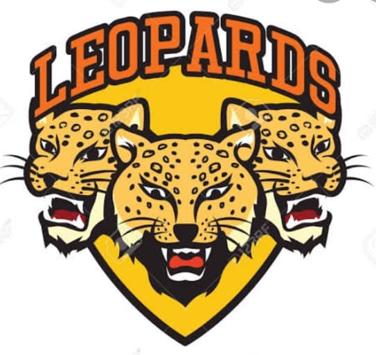FSD LEAPORDS team logo