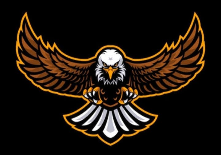 15 Shaheens team logo