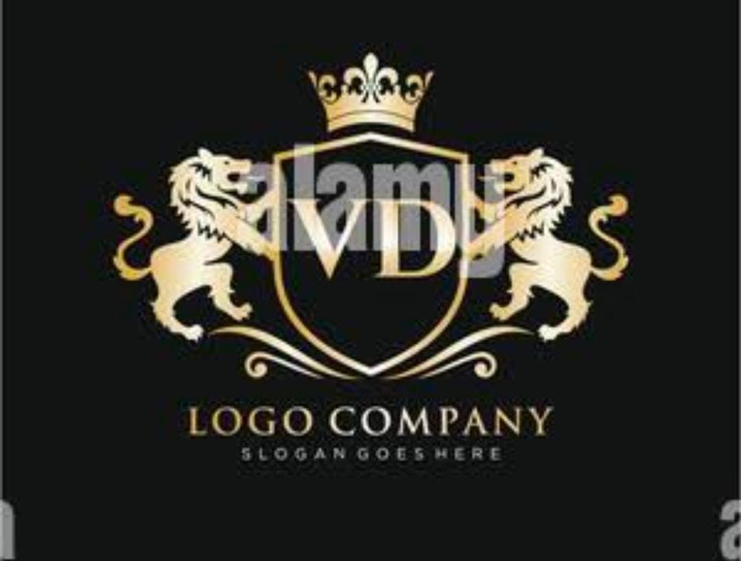 VD XI team logo