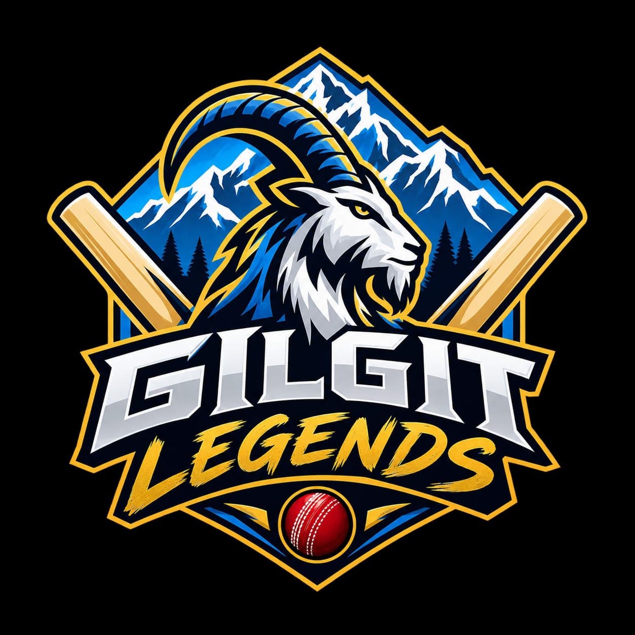 Amir team logo