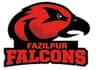 Fazilpur Falcons